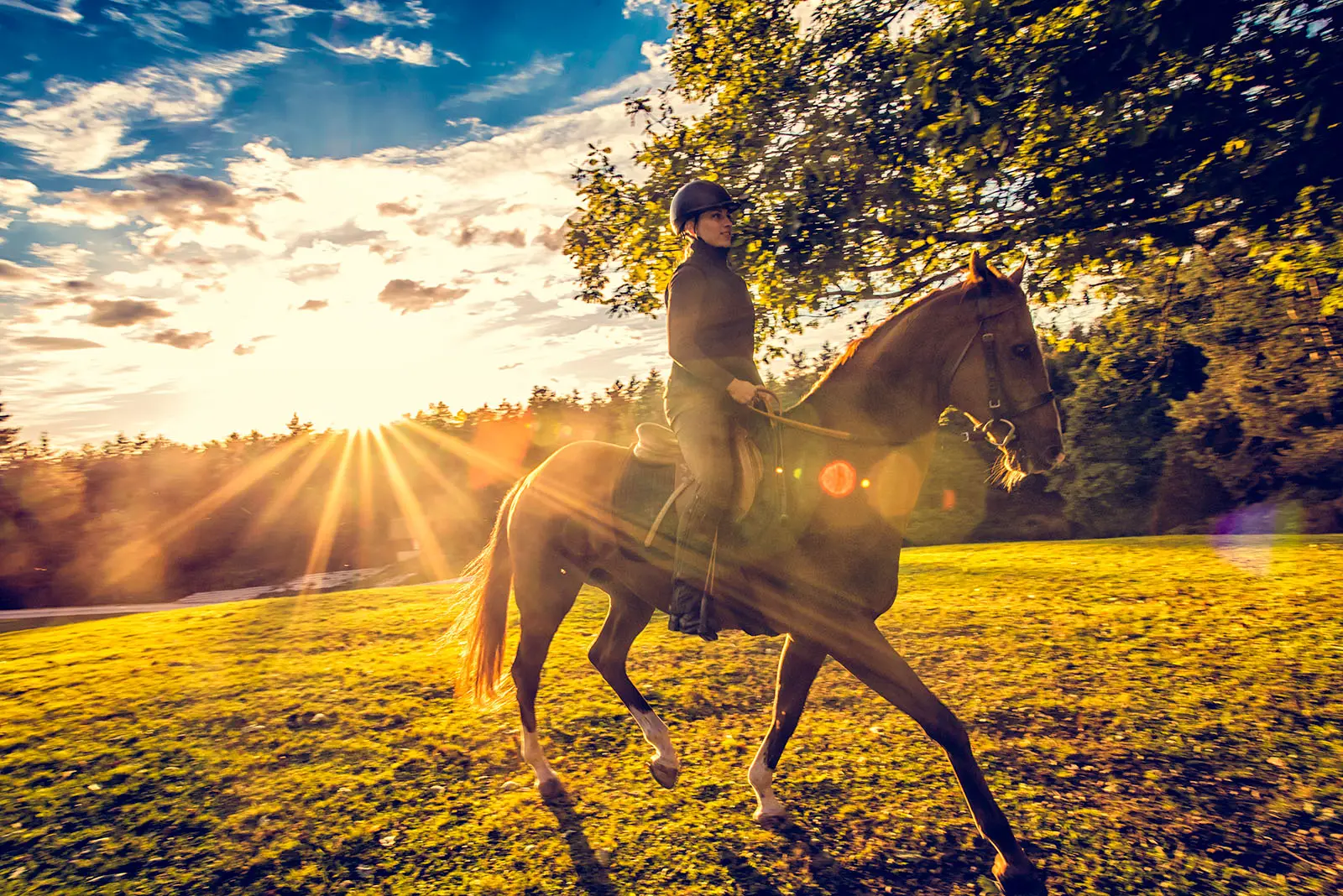 Overnachting met je paard Horseback Holidays