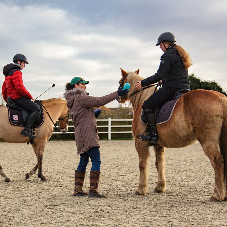 paardenvakantie limburg