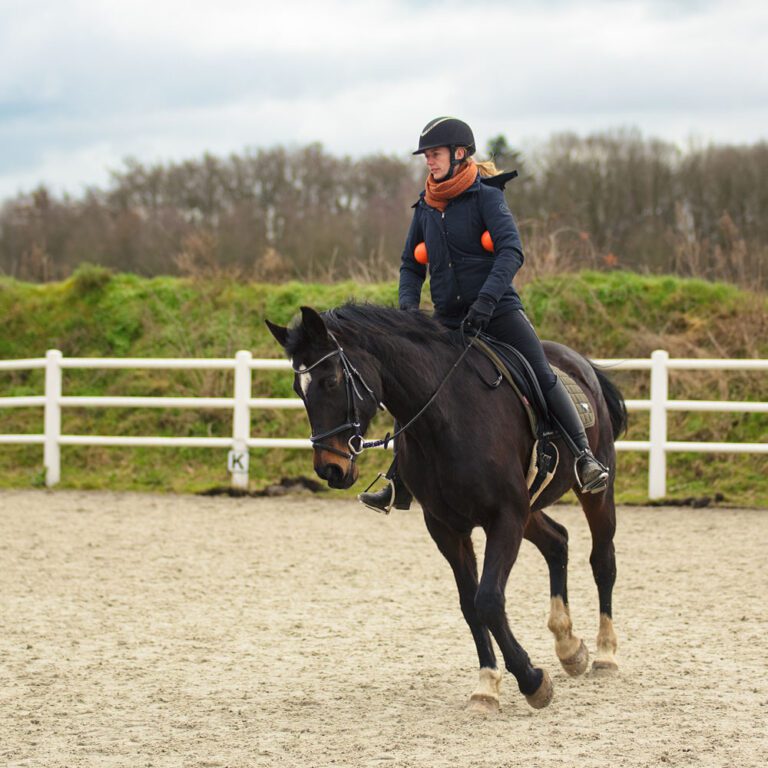 paardrijden nederland