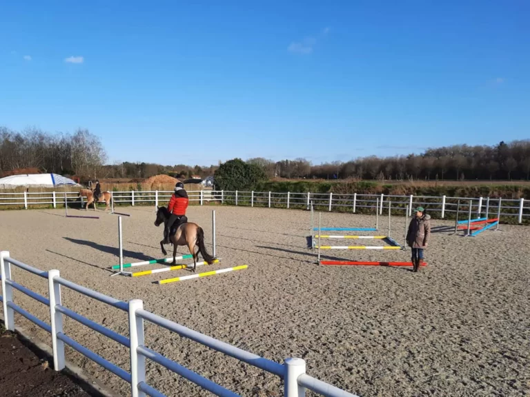 cavaletti training