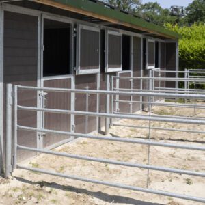 VDO Paardenstallen - Beringerzand - Uitloop in paddock - 09484