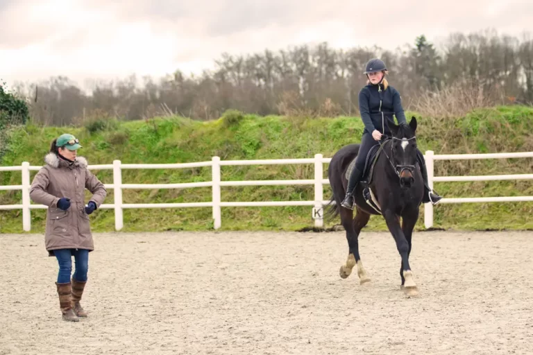 instructieweekend paardrijles met eigen paard