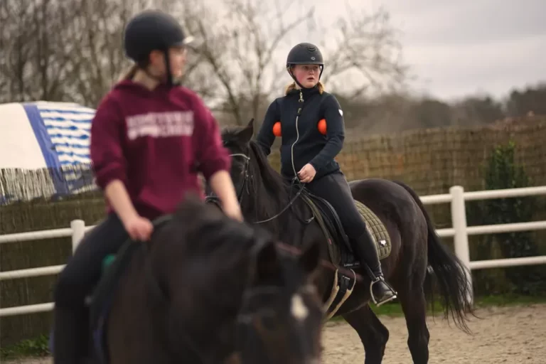 rijles met eigen paard